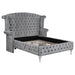 Deanna Contemporary Metallic California King Bed image