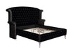 Deanna Contemporary Queen King Bed image