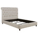 Devon Transitional Beige Queen Bed image